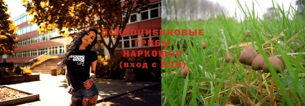 твердый Арсеньев
